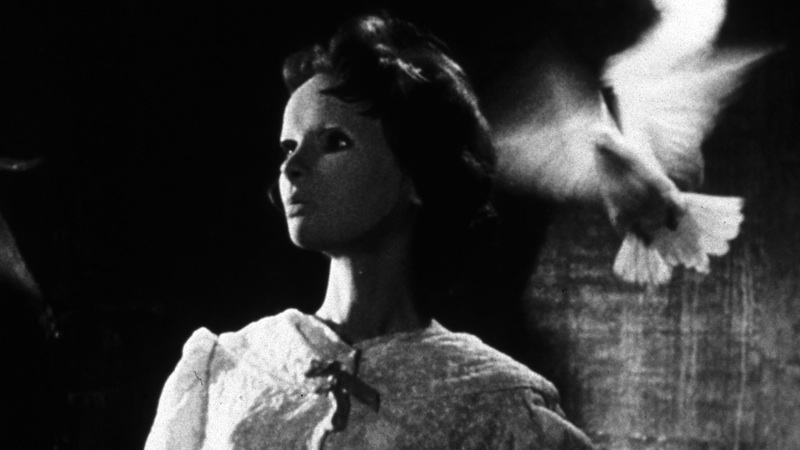 Eyes Without a Face